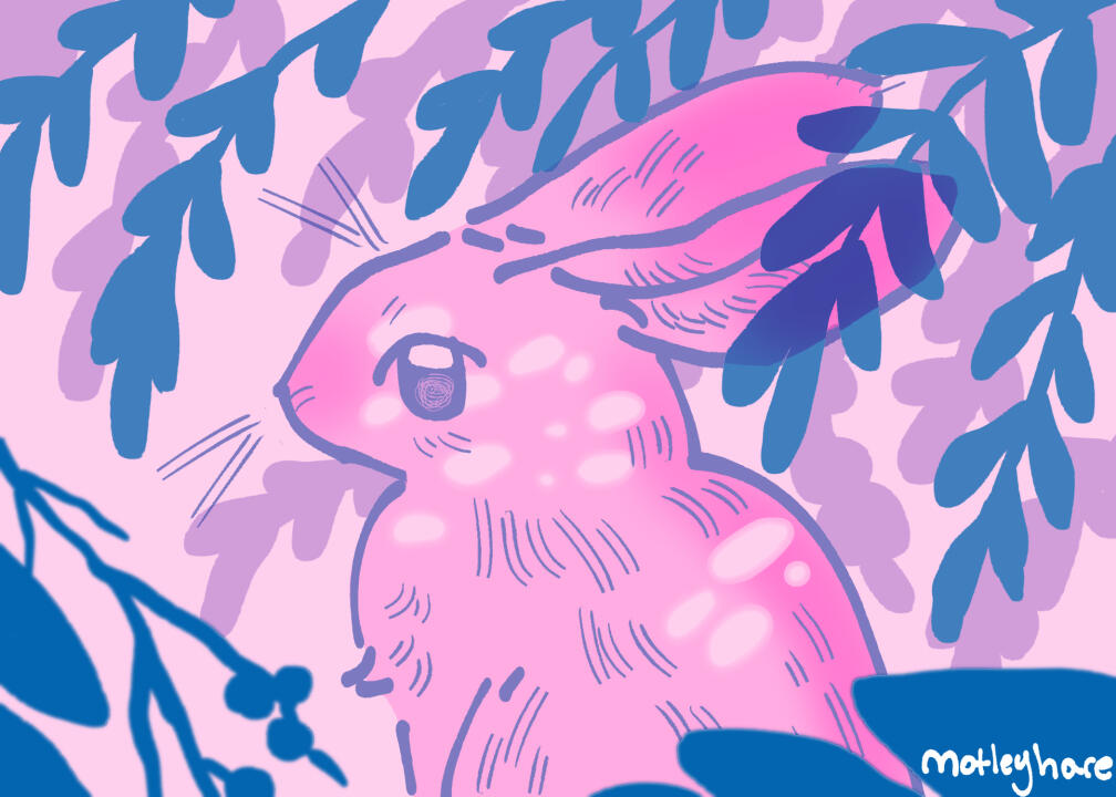 Bunny 2-Color Riso